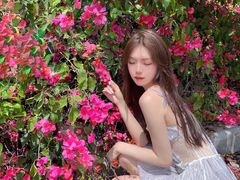 -厦门国家会计学院