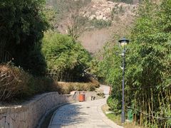 -竹子庵公园