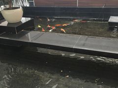 -天津波士信达奔驰4S店(卫津南路店)