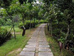 -大亚湾红树林城市湿地公园