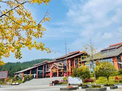 -武陵山森林公园