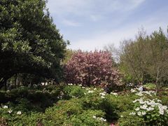 -洛阳市隋唐城遗址植物园