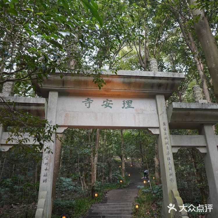 春日的快乐丨氛围感下午茶餐厅🌈