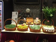 自助取餐区-山泉公馆酒家(广州东站店)