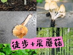 -国家植物园