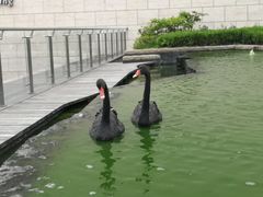 -行者书屋大堂吧 ·下午茶(南京圣和府邸酒店)