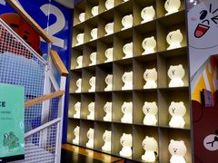 -line friends(明洞旗舰店)