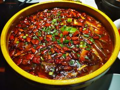-陈麻婆豆腐总店