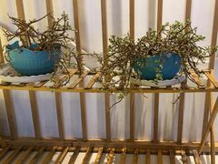 -湘南情·38秒生炒黄牛肉(学院路店)