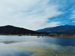 -腾冲北海湿地