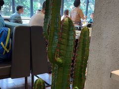 -卡朋西餐(较场西路店)