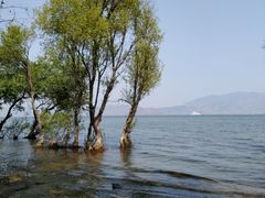 -大理洱海