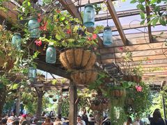 -The Grounds of Alexandria
