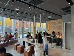 -麦当劳(北苑秋实路店)