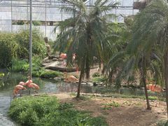 -无锡动物园·太湖欢乐园
