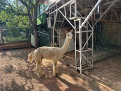 -丽泽山庄·生态怀柔菜·虹鳟鱼(红螺寺店)