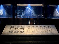 -侵华日军南京大屠杀遇难同胞纪念馆-停车场