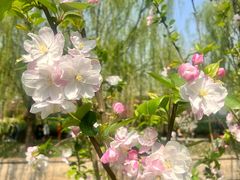 -元大都城垣遗址公园