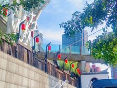 -长白岛森林公园