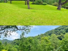 -云溪植物园