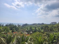 -海南清水湾莱佛士酒店