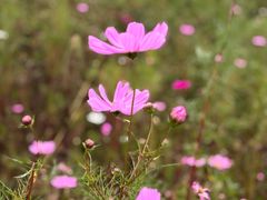 -西部长青自然儿童乐园