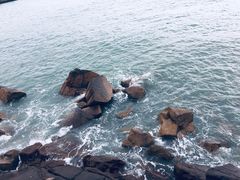 -枸杞岛