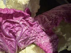 -老墙根涮肉·铜锅·烧烤(欢乐谷·王四营店)