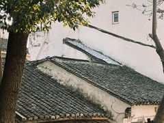 -葑门横街