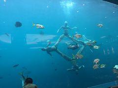 -瑞德姆美人鱼海底演艺主题餐厅(亚龙湾店)
