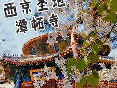 -潭柘寺景区