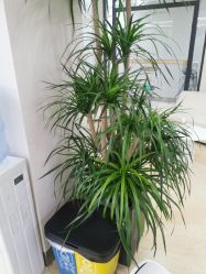 -JUVA郑州欧华医疗美容医院