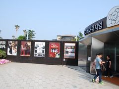 -济州岛泰迪熊博物馆