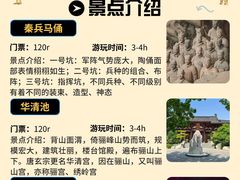 -《驼铃传奇》秀