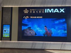 -英皇电影城(平安金融中心IMAX激光店)