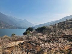 -广州市流溪河国家森林公园