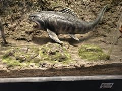 -浙江自然博物院(杭州馆)