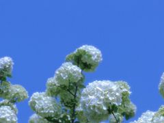 -苏州太湖国家湿地公园