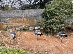 -昆明动物园