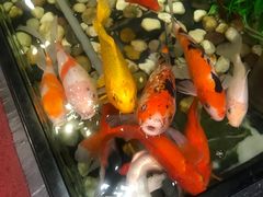 -金太阳海鲜烧烤·本地人餐厅(东纬路旗舰店)