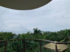 -元素中餐厅.海南菜.粤菜.椰子鸡.海鲜.包房.石梅湾威斯汀度假酒店