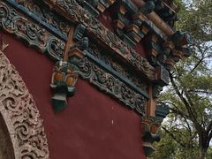 -北陵公园