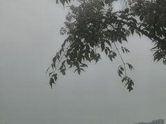 -大渡口区义渡公园