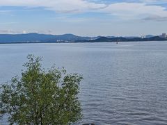 -深圳湾公园(南山区)