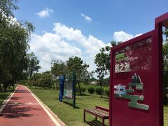 -鹤之洲湿地公园