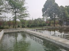 -洪湖家庭农场·团建·露营·会议