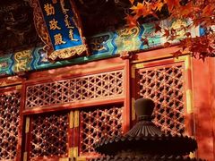 -香山公园