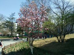 -丰台花园