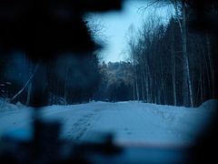 -五营红松林海景区