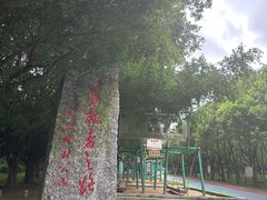 -广东茂名森林公园